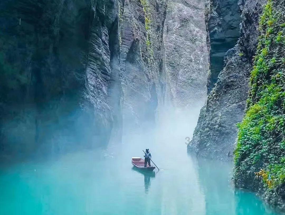 救援受困的长颈鹿